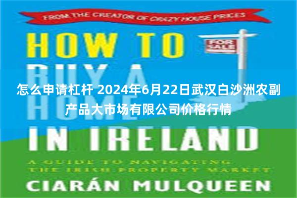 怎么申请杠杆 2024年6月22日武汉白沙洲农副产品大市场有限公司价格行情