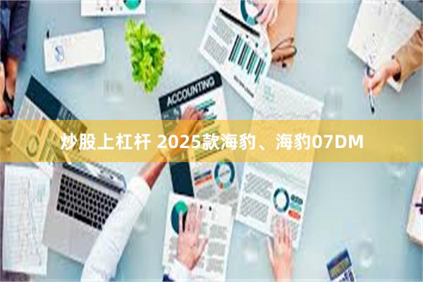 炒股上杠杆 2025款海豹、海豹07DM