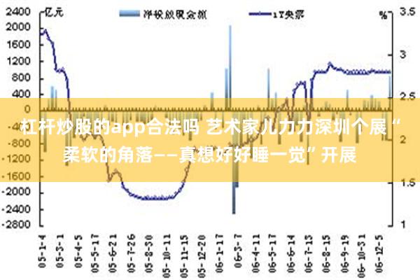 杠杆炒股的app合法吗 艺术家儿力力深圳个展“柔软的角落——真想好好睡一觉”开展