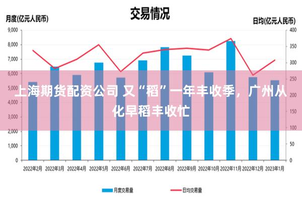 上海期货配资公司 又“稻”一年丰收季，广州从化早稻丰收忙