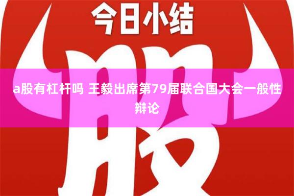 a股有杠杆吗 王毅出席第79届联合国大会一般性辩论