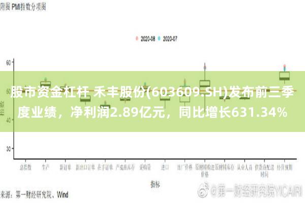 股市资金杠杆 禾丰股份(603609.SH)发布前三季度业绩，净利润2.89亿元，同比增长631.34%