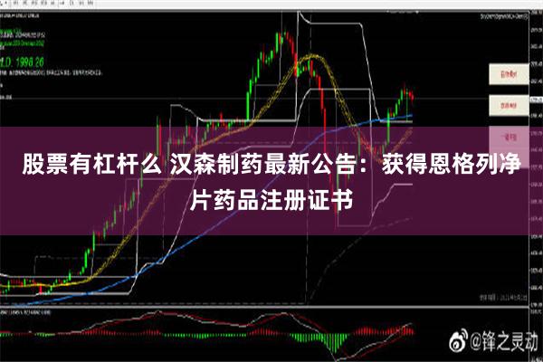 股票有杠杆么 汉森制药最新公告：获得恩格列净片药品注册证书