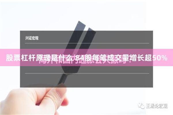 股票杠杆原理是什么 84股每笔成交量增长超50%