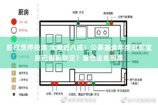 股权质押股票 大赚近八成！公募基金年度冠军宝座已提前锁定？重仓这些股票