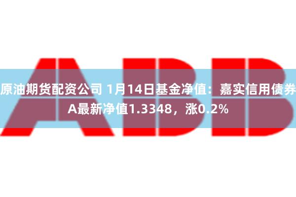 原油期货配资公司 1月14日基金净值：嘉实信用债券A最新净值1.3348，涨0.2%